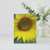 Carte Postale tournesol (Debout devant)