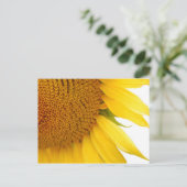 Carte Postale Tournesol (Debout devant)