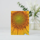 Carte Postale Tournesol (Debout devant)