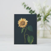 Carte Postale Tournesol (Debout devant)