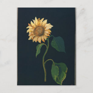 Carte Postale Tournesol