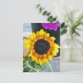 Carte Postale Tournesol (Debout devant)