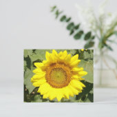 Carte Postale Tournesol 1 (Debout devant)