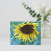 Carte Postale Tournesol 2 (Debout devant)