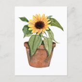 Carte Postale Tournesol à l'aquarelle (Devant)