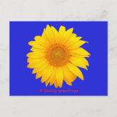 Carte postale Tournesol Amour Salutations (Devant)