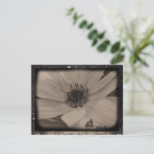 Carte Postale Tournesol Anglé Look Vintage (Debout devant)