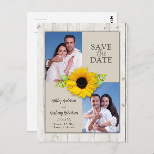 Carte Postale Tournesol blanchi rustique photo Enregistrer la da (Devant / Derrière)