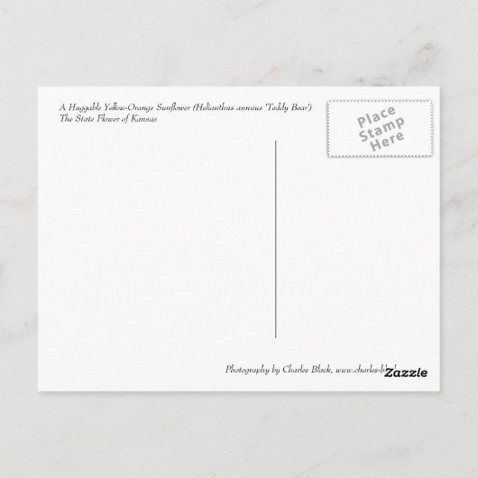 Carte Postale Tournesol câlin (Dos)