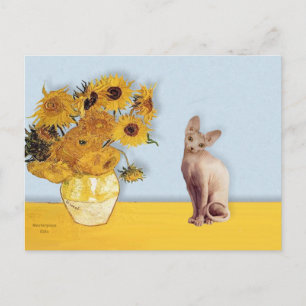 Carte Postale Tournesol - Crème Sphyx chat