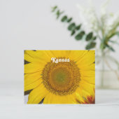 Carte Postale Tournesol dans le Kansas (Debout devant)