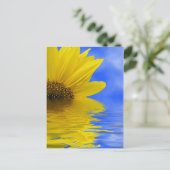 Carte Postale Tournesol dans l'eau (Debout devant)