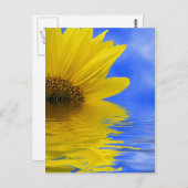 Carte Postale Tournesol dans l'eau (Devant / Derrière)