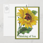 Carte Postale Tournesol doré (Devant / Derrière)