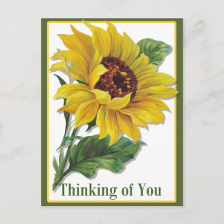Carte Postale Tournesol doré