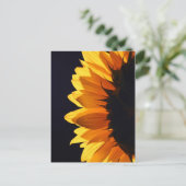 Carte Postale Tournesol en studio 4 (Debout devant)