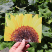Carte Postale Tournesol Ensoleillé