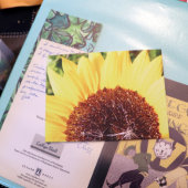 Carte Postale Tournesol Ensoleillé