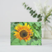 Carte Postale Tournesol et bourdon (Debout devant)