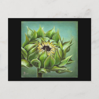 Carte Postale Tournesol fermé