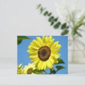 CARTE POSTALE TOURNESOL Fleurs d'été (Debout devant)