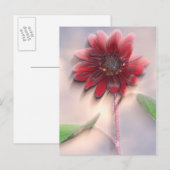 Carte Postale Tournesol hybride soufflant dans le vent (Devant / Derrière)