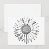 Carte Postale Tournesol illustré (Devant / Derrière)