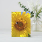 Carte Postale Tournesol jaune (Debout devant)