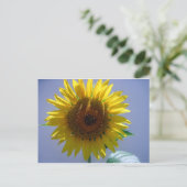 Carte Postale Tournesol jaune (Debout devant)
