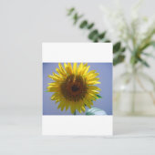 Carte Postale Tournesol jaune (Debout devant)