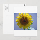 Carte Postale Tournesol jaune (Devant / Derrière)