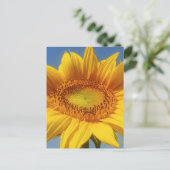 Carte Postale Tournesol jaune (Debout devant)