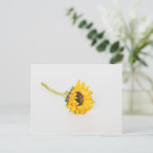 Carte Postale Tournesol jaune (Debout devant)