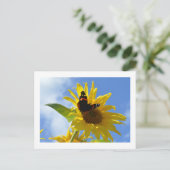Carte Postale Tournesol jaune et papillon de l'amiral rouge (Debout devant)