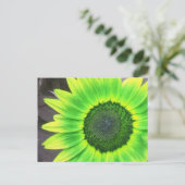 Carte Postale Tournesol jaune et vert (Debout devant)