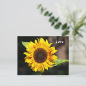 Carte Postale Tournesol jaune vif (Debout devant)