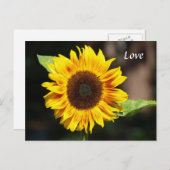 Carte Postale Tournesol jaune vif (Devant / Derrière)