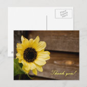 Carte Postale Tournesol merci (Devant / Derrière)