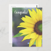 Carte Postale Tournesol numérique aquarelle 2 (Devant / Derrière)