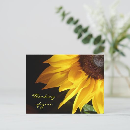 Carte postale Tournesol : Pensée pour toi (Debout devant)