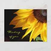 Carte postale Tournesol : Pensée pour toi (Devant)