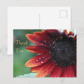 Carte Postale Tournesol rouge Merci (Devant / Derrière)