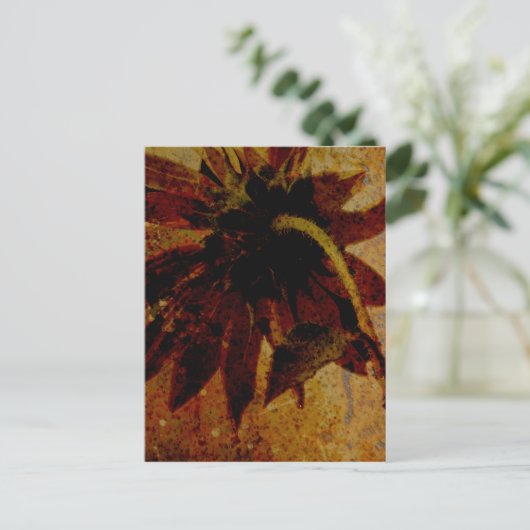 Carte Postale Tournesol rustique (Debout devant)