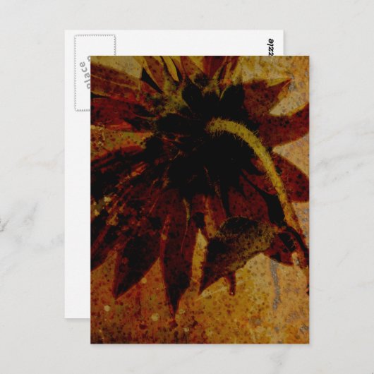 Carte Postale Tournesol rustique (Devant / Derrière)