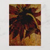 Carte Postale Tournesol rustique (Devant)