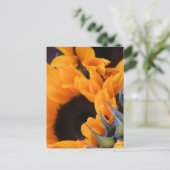 Carte Postale Tournesol Soleil d'Été (Debout devant)