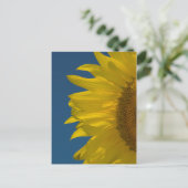 Carte Postale Tournesol vertical   (Debout devant)