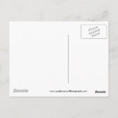 Carte Postale Tournesol vertical   (Dos)