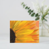 Carte postale tournesol vibre (Debout devant)