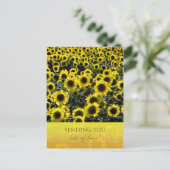 Carte postale tournesol / Vous envoyer beaucoup de (Debout devant)